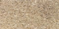 Pressed wooden panel seamless texture of oriented strand board - OSB