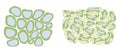 Turgor pressure in plant cells