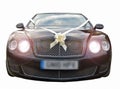 Prestige luxury wedding cars Royalty Free Stock Photo