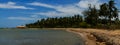 A prestine beach lined with palm trees under a sky with light clouds in Pasikuda