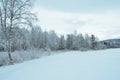 Prestine snowy white forest landscape after hoarfrost Royalty Free Stock Photo