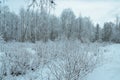 Prestine snowy white forest landscape after hoarfrost Royalty Free Stock Photo