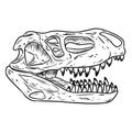 Prestosuchus chiniquensis fossilized skull hand drawn sketch image. Carnivorous pseudosuchians reptile dinosaur fossil