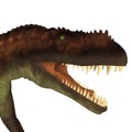 Prestosuchus Dinosaur Head