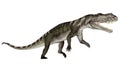 Prestosuchus dinosaur roaring - 3D render Royalty Free Stock Photo