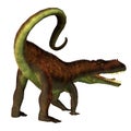 Prestosuchus Dinosaur Tail