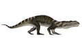 Prestosuchus dinosaur walking - 3D render Royalty Free Stock Photo