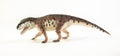 Prestosuchus , dinosaur on white background Royalty Free Stock Photo
