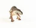 Prestosuchus , dinosaur on white background Royalty Free Stock Photo