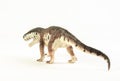 Prestosuchus , dinosaur on white background Royalty Free Stock Photo