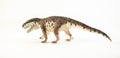 Prestosuchus , dinosaur on white background Royalty Free Stock Photo