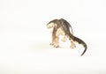 Prestosuchus , dinosaur on white background Royalty Free Stock Photo
