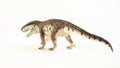 Prestosuchus , dinosaur on white background Royalty Free Stock Photo