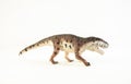 Prestosuchus , dinosaur on white background Royalty Free Stock Photo