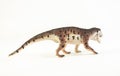 Prestosuchus , dinosaur on white background Royalty Free Stock Photo