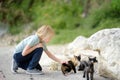 Preteen boy enthusiastically plays with cute kittens. Little boy strokes funny wildcats on the street of a small seaside town. Royalty Free Stock Photo