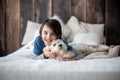 Preteen child, boy, playing with his pet, maltese dog at home Royalty Free Stock Photo