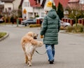 Preteen child girl walking with golden retriever dog Royalty Free Stock Photo