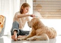 Girl with golden retriever dog Royalty Free Stock Photo