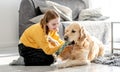 Preteen girl with golden retriever dog Royalty Free Stock Photo