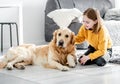 Preteen girl with golden retriever dog Royalty Free Stock Photo