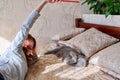 Preteen girl playing with a pet gray british cat lie together at home in bed Royalty Free Stock Photo