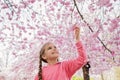 Preteen girl smells a blooming branch of sakura while walking in blossom garden. Happy spring vibes Royalty Free Stock Photo