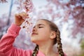 Preteen girl smells a blooming branch of sakura while walking in blossom garden. Happy spring vibes Royalty Free Stock Photo