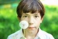 Preteen handsome boy blow with dandelion in summer sunny day Royalty Free Stock Photo