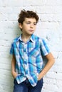 Preteen handsome boy in checked blue shirt