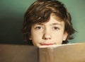 Preteen hansome boy reading book