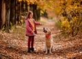 Preteen kid and golden retriever dog Royalty Free Stock Photo
