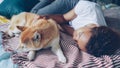 Pretty African American teenage girl and her loyal dog are sleeping together on bed at home, person is hugging animal in Royalty Free Stock Photo