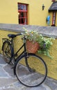 Pretty antique bicycle with flower basket Royalty Free Stock Photo