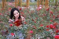 Pretty Asian Chinese woman beautiful girl outdoor sit around flowers rose park garden feel carefree caucasian pasttime read book Royalty Free Stock Photo