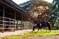 Pretty Asian woman cowgirl riding a horse outdoors in a farm. Royalty Free Stock Photo