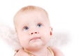 Pretty baby with angel wings Royalty Free Stock Photo