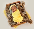 Pretty baby in cradle Royalty Free Stock Photo