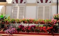 Pretty Balcony with flowers