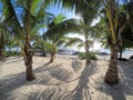 Pretty beach with palm trees at Lefaga, Matautu on Upolu Island, Samoa, South Pacific