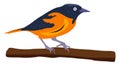 Pretty bird ,illustration, vector