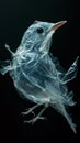 a pretty bird made of transparent plastic bag isolated on black background Royalty Free Stock Photo