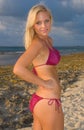 Pretty Blond Woman Bikini