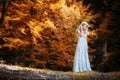 Pretty blonde fairy lady with white dress Royalty Free Stock Photo
