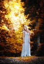 Pretty blonde fairy lady with white dress Royalty Free Stock Photo