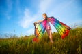 Pretty blonde girl with bright butterfly wings having fun in meadow on natural landscape with grass and flowers on sunny Royalty Free Stock Photo