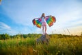 Pretty blonde girl with bright butterfly wings having fun in meadow on natural landscape with grass and flowers on sunny Royalty Free Stock Photo