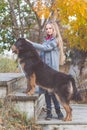 Pretty blonde girl with mastiff on the nature Royalty Free Stock Photo