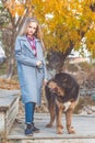 Pretty blonde girl with mastiff on the nature Royalty Free Stock Photo
