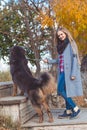 Pretty blonde girl with mastiff on the nature Royalty Free Stock Photo